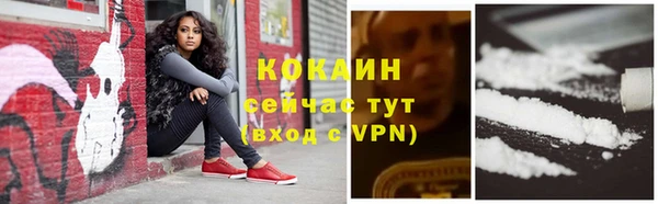 прущие крисы Абаза