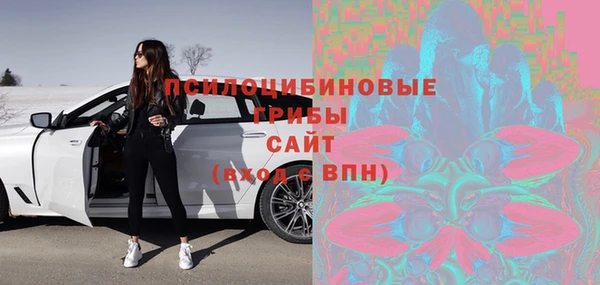 прущие крисы Абаза