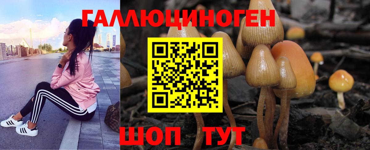 Псилоцибиновые грибы Psilocybine cubensis  Псилоцибиновые грибы Psilocybe  Клинцы  Вход с VPN 