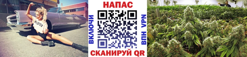 Канабис MAZAR  Клинцы 